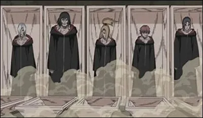 Cette technique se nomme :