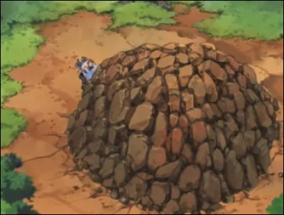 Cette technique se nomme :