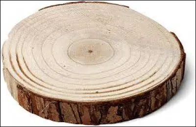 Au Canada, comment appelle-t-on un rondin de bois ?