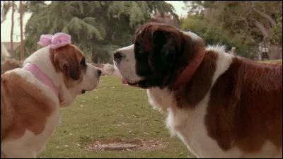 Quel est le titre de la chanson ?