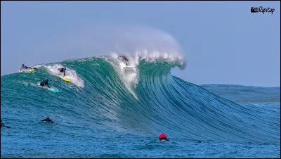 Sur comme surf : sport pratiqué entre autres sur les plages d'Hossegor, dans quel département ?