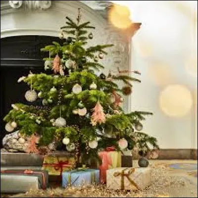Quel arbre décore-t-on à Noël ?