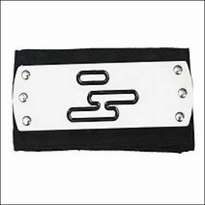 Ce bandeau appartient au village de :