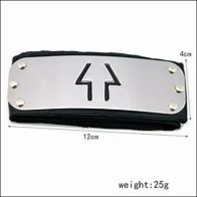 Ce bandeau appartient au village de :