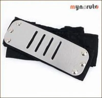 Ce bandeau appartient au village de :