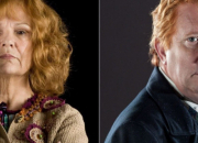 Quiz Quiz sur la famille Weasley (Harry Potter)