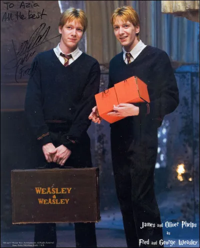 Que fabriquent les jumeaux Fred et George ?