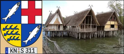 "Bodensee" (en français le lac de Constance) était aussi nommé "Suebicum Mare" par les latins : mais d'où provient le nom germanique ?