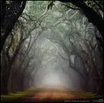 Quel territoire est vendu par Bonaparte aux Etats-Unis pour 80 millions de francs, en 1803 ?