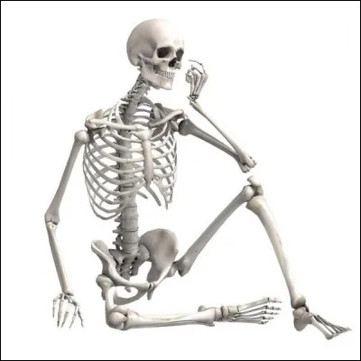 Quel est le jeu de mot avec le nom de l'association ?