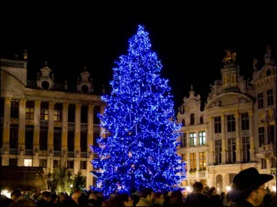 De quelle couleur est ce sapin ?