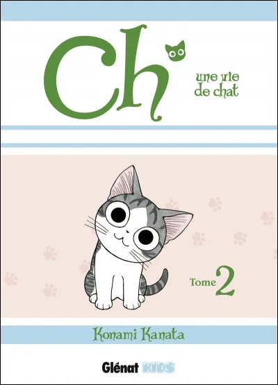 Quel est le nom du personnage principal de cette série de mangas ?