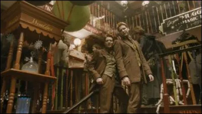 Quel métier vont faire les jumeaux Weasley ?