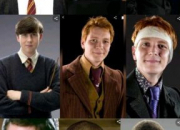 Test Ton petit ami 'Harry Potter'