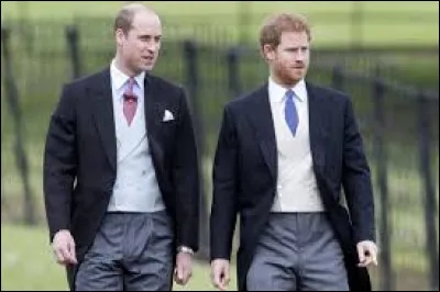 Comment s'appellent-ils ? (en partant de gauche à droite)