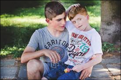 Quel duo est l'interpr&egrave;te du tube ''Brother Louie'' ?