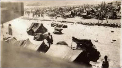 Quel pays a été victime d'un génocide en 1915-1916 ?