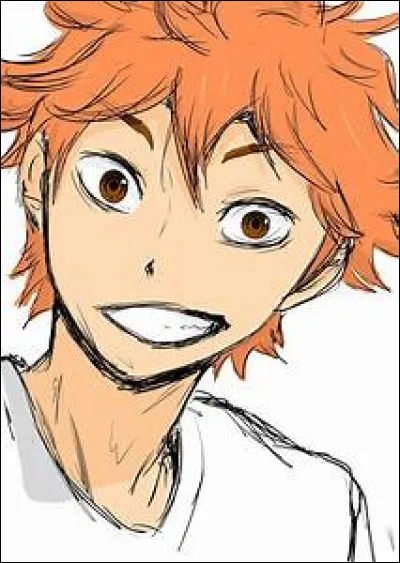 Hinata, en fait-il partie ?