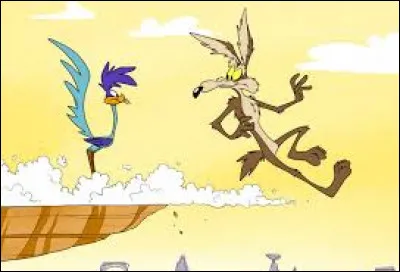 Qui cherche à attraper Bip Bip dans un célèbre dessin animé ?