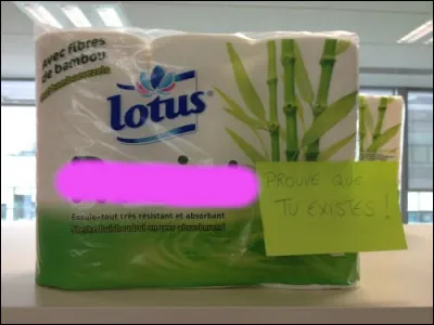 Le port du Gall est très à la mode, cet hiver...