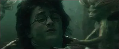 Qui est le prisonnier de Harry dans ''Harry Potter et la Coupe de feu'' ?