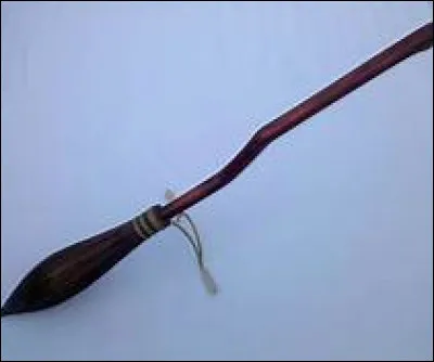 Quel est le premier balai de Harry ?