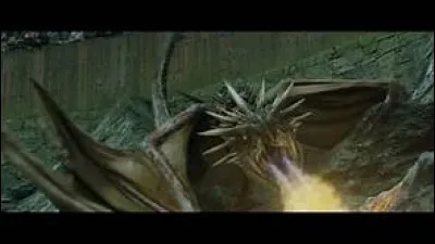 Quelle race de dragon Harry a-t-il combattue dans ''Harry Potter et la Coupe de feu'' ?