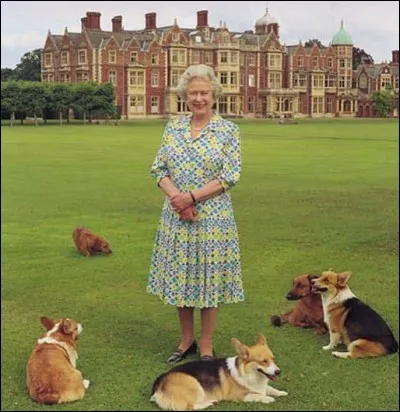 La maison de campagne de Sandringham House dans le Norfolk a quelque chose de particulier, au niveau des espaces verts : quoi donc ?