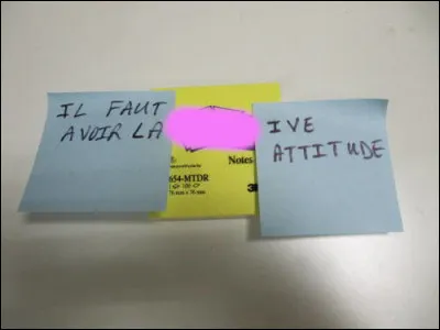 Du moment que ça colle entre Raffarin et Lorie...