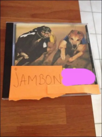 Un peu comme Anouar, Sadate un peu...