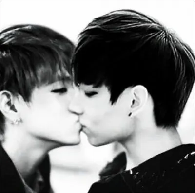 Jungkook a-t-il approuvé le Tae-Kook ?