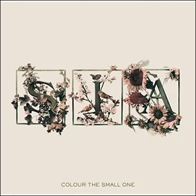 Quel titre de l'album "Colour the Small One" se fait particulièrement remarquer ?