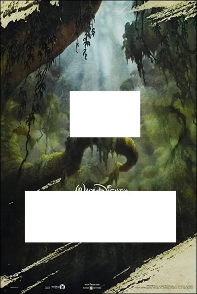 À quel Disney correspond cette affiche ?