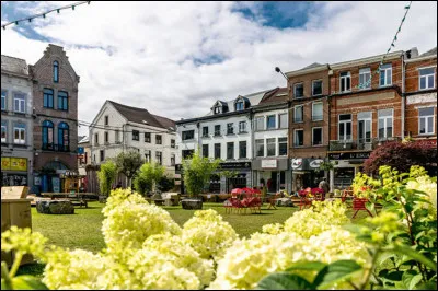 Quelle ville belge est le chef-lieu de la Province du Brabant wallon ?