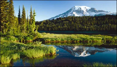 En raison de ses paysages sauvages, quel surnom donne-t-on à l'État de Washington, au Nord-Ouest des États-Unis ?