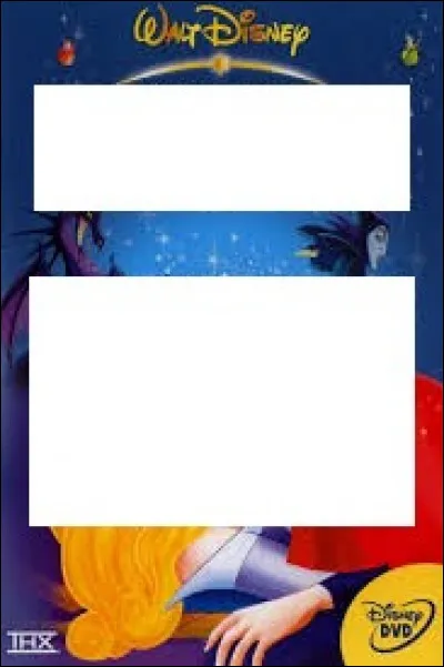 À quel Disney appartient cette affiche ?