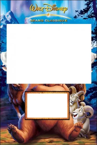 À quel Disney appartient cette affiche ?