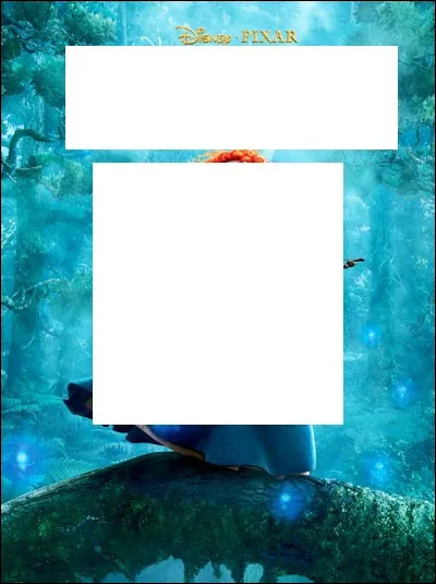 À quel Disney appartient cette affiche ?