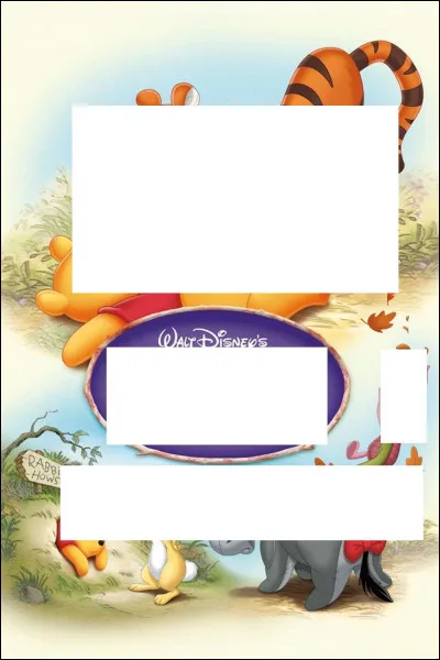 À quel Disney appartient cette affiche ?