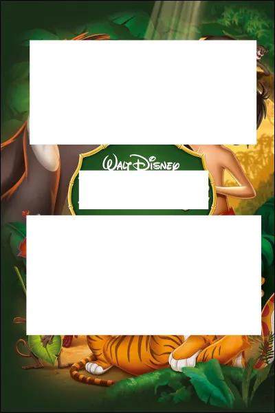 À quel Disney appartient cette affiche ?