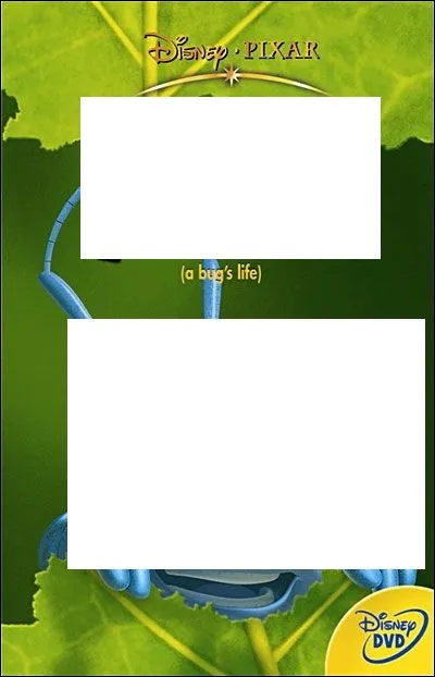 À quel Disney appartient cette affiche ?