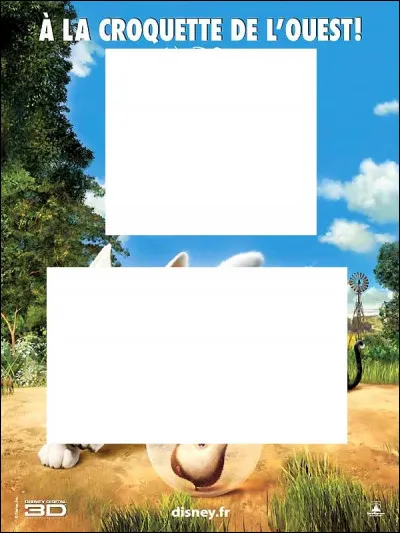 À quel Disney appartient cette affiche ?