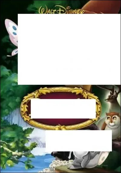 À quel Disney appartient cette affiche ?
