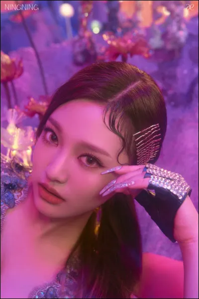 Quel groupe ou quelle chanteuse préfères-tu ?