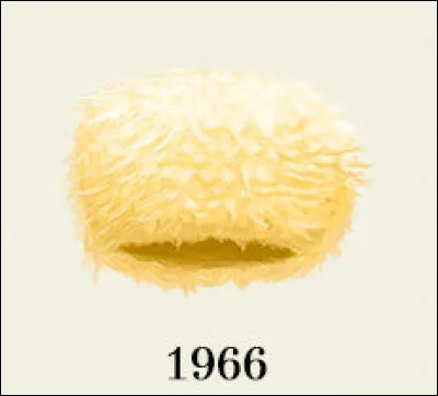 Après une visite en RFA l'année précédente, 1966 est une grande année pour l'Angleterre : que s'est-il passé ?