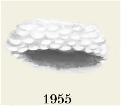 L'année suivante, elle se coiffe de cette espèce d'omelette meringuée... Normal, car elle se rend en/au ...