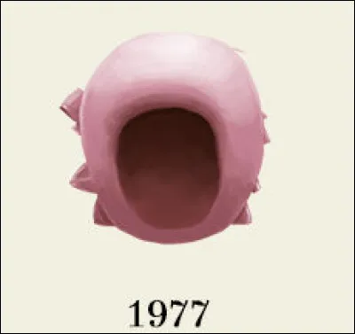 1977 est l'année ...