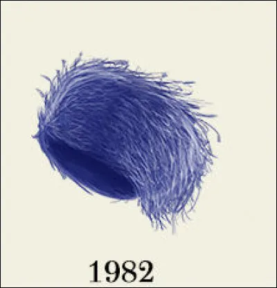 L'année suivante est aussi importante !