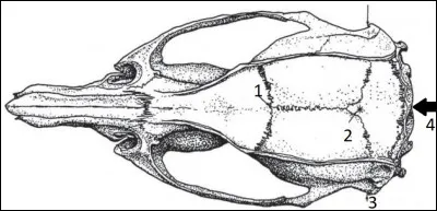 Le point 2 correspond...