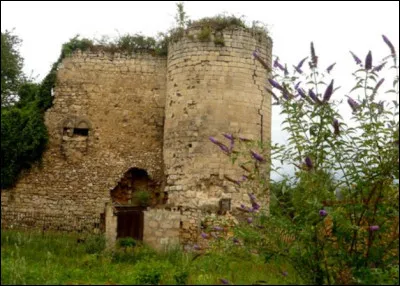 Nous clôturons notre balade par cette ancienne cité médiévale de Jeoffrécourt située dans l'Aisne. Mais aujourd'hui, on y trouve un centre commercial, une zone pavillonnaire, un cimetière, un lieu de culte etc... tout ce qu'il y a de plus moderne. Pour quelle raison cet ancien hameau, entièrement clos est interdit à tout public depuis 2006 et baptisé "le Cenzub" ville fantôme ?